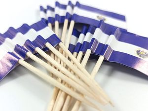Nuevo personalizado 100 piezas Salvador palillo bandera y diferentes países pequeño Mini Stick Cupcake Topper decorado - Product Image 4
