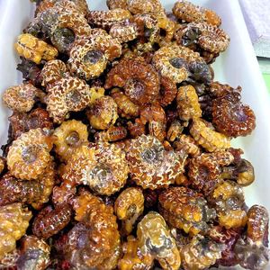 Doğal cilalı şifa taşı ev dekorasyon için amonyum krizantem salyangoz fosilleri taş fosil - Product Image 5