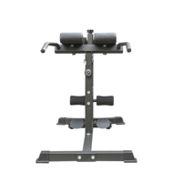 Banc de musculation pour abdominaux, banc d'hyperextension, exercices de fitness, chaise romaine