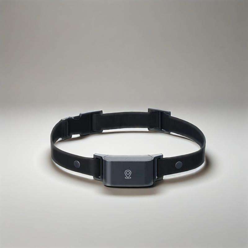 Édition américaine balck