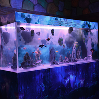 Grand Aquarium d'Eau Salée sur Mesure Ocean Park, Grand Aquarium Carré en Acrylique Transparent en Lucite et Aquariums en Plastique