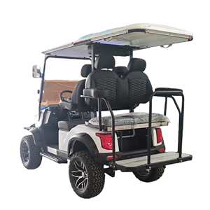 Navette électrique TONGCAI à <span class=keywords><strong>4</strong></span> places, silencieuse et confortable, pour les villages <span class=keywords><strong>de</strong></span> retraite et les centres <span class=keywords><strong>de</strong></span> soins aux personnes âgées - Product Image 3