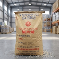 Granulés de polypropylène homopolymère haute résistance, vente en gros pour emballages alimentaires et contenants, destinés aux acheteurs B2B