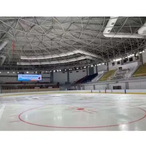 Grote Indoor Ijshockey Arena Bout Bal Space Frame Structuur Dak
