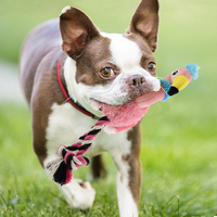 Famipet Fabricant Fournisseur Jouet pour chien en peluche personnalisé doux et moelleux en forme de flamant rose et d'autruche avec sonnettes