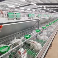 Fabricant chinois cage à lapin deux couches 24 cellules cages d'élevage de lapins agriculture commerciale
