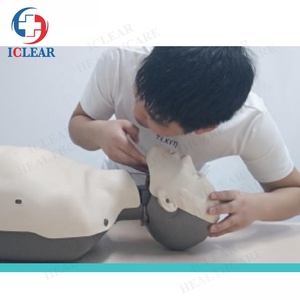 Sistema de circulación sanguínea visualizado, primeros auxilios, modelo de entrenamiento RCP - Product Image 6