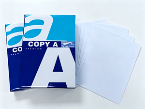 Carta per Fotocopie <span class=keywords><strong>A4</strong></span> all'Ingrosso, 70gsm 75gsm 80gsm, Bianca, 100% Polpa di Legno Vergine, Alta Qualità, da Shandong Cina, Fornitura per Fabbriche di Carta - Product Image 6