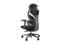Chaise de bureau ergonomique avec accoudoirs 5D, appui-tête 4D, chaise d'ordinateur entièrement en mesh avec soutien lombaire réglable
