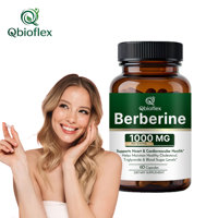 Qbioflex Extrait Herbal 1000MG 500MG Capsules de Berbérine HCl Suppléments Capsules de Berbérine à la Cannelle de Ceylan