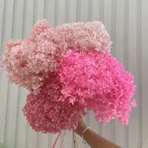 Vendita Diretta dalla Fabbrica: Decorazioni Nuziali con Ortensie Anna Essiccate e Conservate di Alta Qualità - Product Image 5