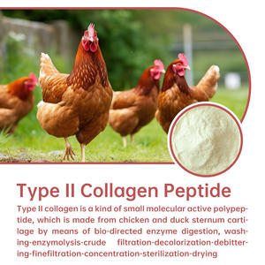 Eklem Sağlığı ve Tırnak Bakımı için Yüksek Kaliteli Tip II Kolajenin Fabrikadan Doğrudan Satışı - Product Image 3