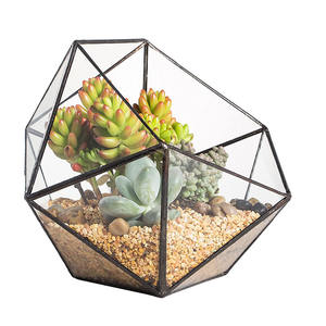 Mezza palla pentagono fioriera balcone interno finestra pianta succulenta cactus felce vaso di fiori forma ciotola terrario di vetro geometrico - Product Image 1