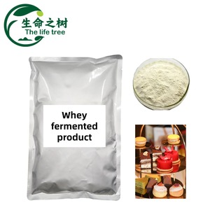 Extrait de lactosérum fermenté de qualité supérieure - Conservateur naturel pour fromage et viande, poudre blanche de qualité <span class=keywords><strong>alimentaire</strong></span>, inhibe les moisissures/levures - Product Image 3