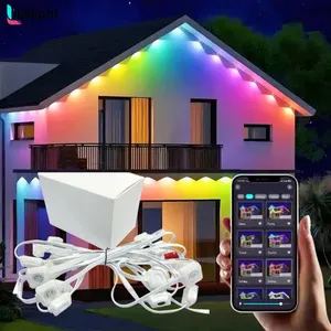 Programmierbare RGB Hausbeleuchtung 36 V 2 W Pixel Led Weihnachtslichter Led IP67 permanente dekorative Außenbeleuchtung