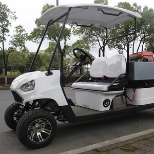Manufacturers Customisable Brand 48V/350A Electric Golf Cart With Cargo Bed - Product Image 3