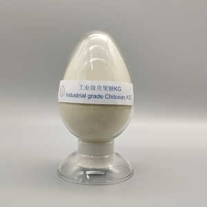 Nhà máy trực tiếp cao cấp Chitosan kg cho ngành công nghiệp - Product Image 4