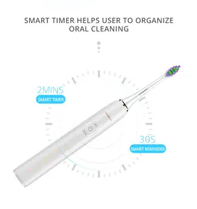 Brosse à dents électrique rechargeable de blanchiment des dents automatique adulte avec logo OEM vente en gros
