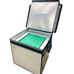 Hot-selling Ice Cream Transport Cold Box Ice-lolly Cooler Box <b>Container</b> for Food or <b>Wine</b> - Product Image 2