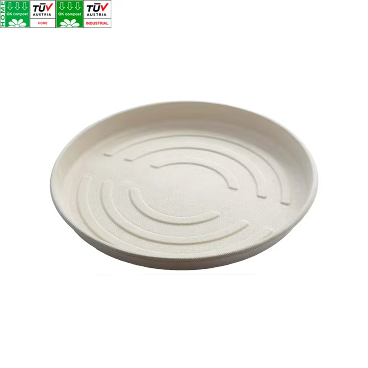 SKU-10Assiette à pizza en bagasse