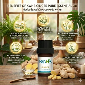 Aceite Esencial Puro de Jengibre KWHB 5ml Extractor Herbal para Uso Doméstico Producto de Tailandia - Product Image 4