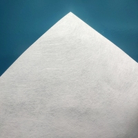 Couche de support non tissée bicomposante PET COPET Spunbond à haute efficacité d'interception, média de filtration de gaz avancé conçu F210B