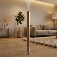 Diffuseur d'arômes LED à deux fluides, alimenté par batterie, type C, contrôlé par application, grande capacité 100 ml, en alliage d'aluminium, silencieux 30 dB