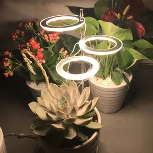 Angel Ring LED Grow Light Full Spectrum USB Plant Light for Potted Succulents