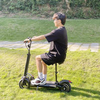 Yetişkin katlanır elektrikli scooter 250w 350w 500w 10 inç 36V 48V elektrikli Scooter ile koltuk 8/9/10AH pil E Scooter