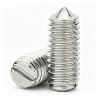 Vis sans tête conique à six pans creux en acier inoxydable M3 M4 M5 M6 M8 M10 M12 M16