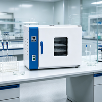 Incubateur de bain sec électrique de laboratoire avec protection contre la surchauffe, convection numérique et variation de température de 0,1°C pour le séchage