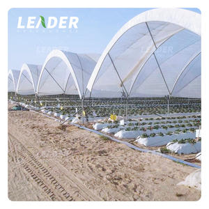 <span class=keywords><strong>Kit</strong></span> de serre à myrtille avec couvercle <span class=keywords><strong>en</strong></span> plastique galvanisé, <span class=keywords><strong>abri</strong></span> contre la pluie multi-usage - Product Image 5