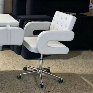 Beauty Salon Furniture Silver Technician Chair Luxury Modern Huydraulic Clinic Nail Salon <b>Stool</b> with Backrest - Product Image 5