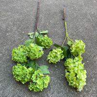 Bunga Hydrangea Hijau Buatan Satu Tangkai Grosir untuk Perlengkapan Pernikahan & Fotografi