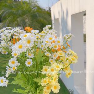 Flores Artificiales Kch Daisy, 30 Cabezas, de Seda, Realistas, Accesorios para Fotografía de Bodas, Decoración del Hogar - Product Image 2
