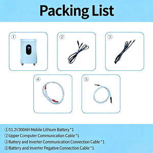 Batería de Almacenamiento de Energía <span class=keywords><strong>Solar</strong></span> Fotovoltaica Híbrida para el Hogar, 51.2V 300Ah LiFePO4, <span class=keywords><strong>con</strong></span> Salida de 10-20Kw y Protección IP54 - Product Image 5