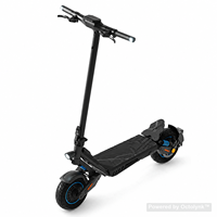 Scooter Eléctrico Todoterreno Plegable N07 48V 800W 15Ah con Marco de Acero de 10 Pulgadas, Venta al Por Mayor