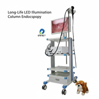 Système de caméra endoscopique électronique flexible pour clinique vétérinaire EUR VET, gastroscope vidéo vétérinaire