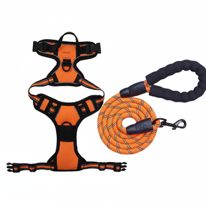 Harnais pour animaux de compagnie en nylon sans traction-Laisse auxiliaire de voyage réglable pour l'extérieur, gilet respirant avec laisse pour petits animaux de compagnie moyens, taille M - Product Image 1