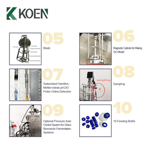 Biorreattore Continuo Automatico in Vetro da 30L con Controllo PLC, Pompa e Controllo PH/Temperatura/Antischiuma per Fermentazione di Lieviti in Laboratorio su Piccola Scala - Product Image 2