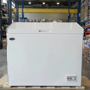 <span class=keywords><strong>Congélateur</strong></span> coffre profond commercial 300L <span class=keywords><strong>congélateur</strong></span> commercial à réservoir intérieur en aluminium - Product Image 2