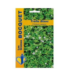 100g naturale di trifoglio bianco erba giardino scrofa pacchetto di <span class=keywords><strong>piante</strong></span> Kit perenne erba giardino scrofe per la semina per 40m ² pavimento all'aperto - Product Image 2