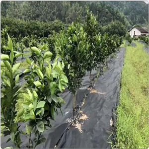 农业聚丙烯非织造纺粘材料卷无纺布袋水果保护袋芒果香蕉葡萄袋 - Product Image 5