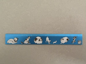 Règle droite longue de 15 cm avec échelle de mesure, technologie de traitement laser - Product Image 5