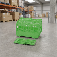 Cage de transport pliable en plastique léger et durable Crown 215 pour petits animaux, pigeons et oiseaux