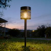 Lampes solaires LED d'extérieur en forme de pivoine, lampes de jardin étanches IP65, créant une ambiance paysagère