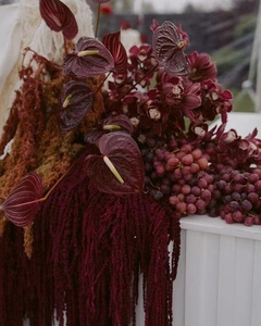 Fiore di Amaranto Naturale Essiccato e Conservato, Vendita all'Ingrosso Personalizzata per Centrotavola di Matrimoni e Decorazioni Domestiche - Product Image 4