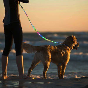 Usb C Oplaadbare Led Verlichte Hondenriem Reflecterende Nylon Pet Lood Met 12 Mode Kleuren Veranderlijke Eenvoudige Stijl - Product Image 1