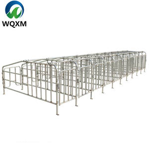 Parcs de Mise Bas Galvanisés pour Truies, Stalles de Gestation pour Porcs, Colonnes de Limitation, Équipement d'Élevage - Product Image 6