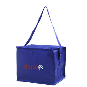 Logotipo impreso portátil azul impermeable diseño cuadrado comida fruta bebida entrega almuerzo playa plegable bolsa enfriador de pescado